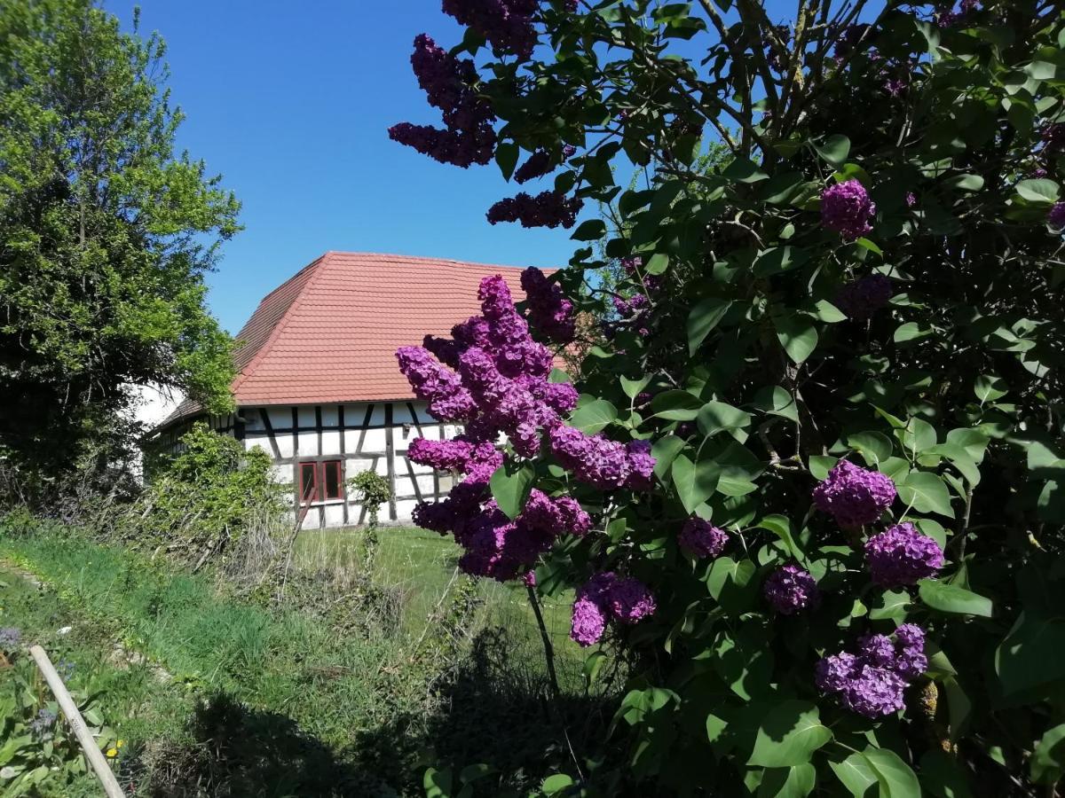 Rue De L'ange Hunspach